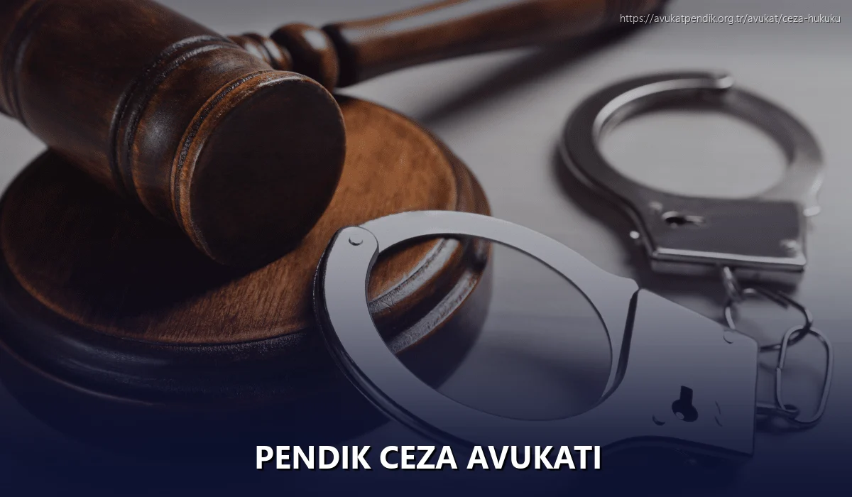 Pendik Ceza Avukatı